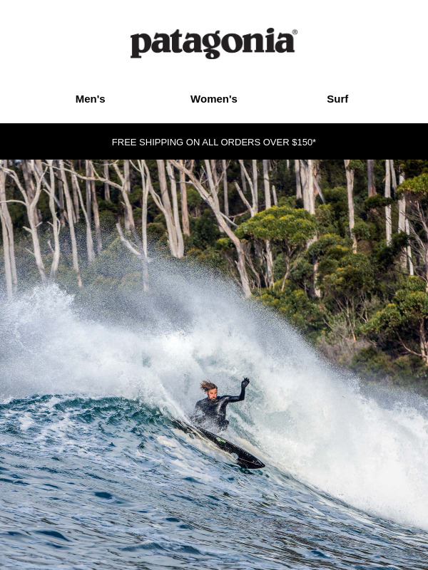 Newsletter preview: Welcome to the family.