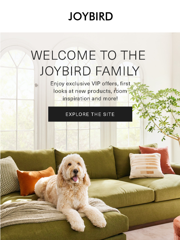Newsletter preview: 🎉 Welcome to the Joybird family Valued Customer!