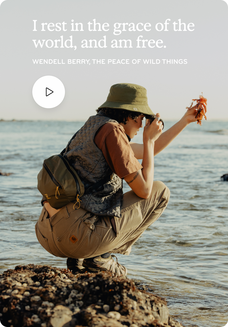 Watch the Kelp Video