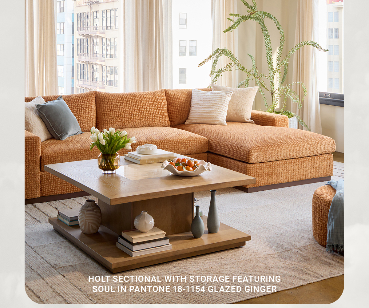 HOLT SECTIONAL WITH STORAGE FEATURING SOUL IN PAΑΝΤΟΝΕ 18-1154 GLAZED GINGER