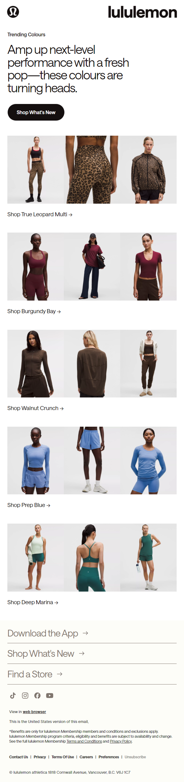 Newsletter preview: New colours, popping off