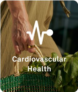 Cardiovascular Health