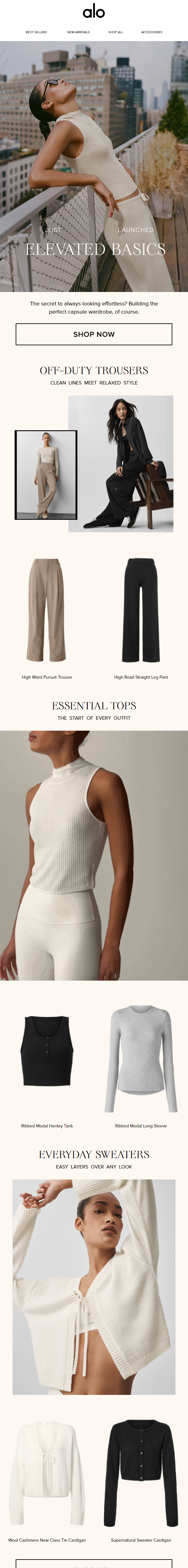 Newsletter preview: Just Launched: Elevated Basics