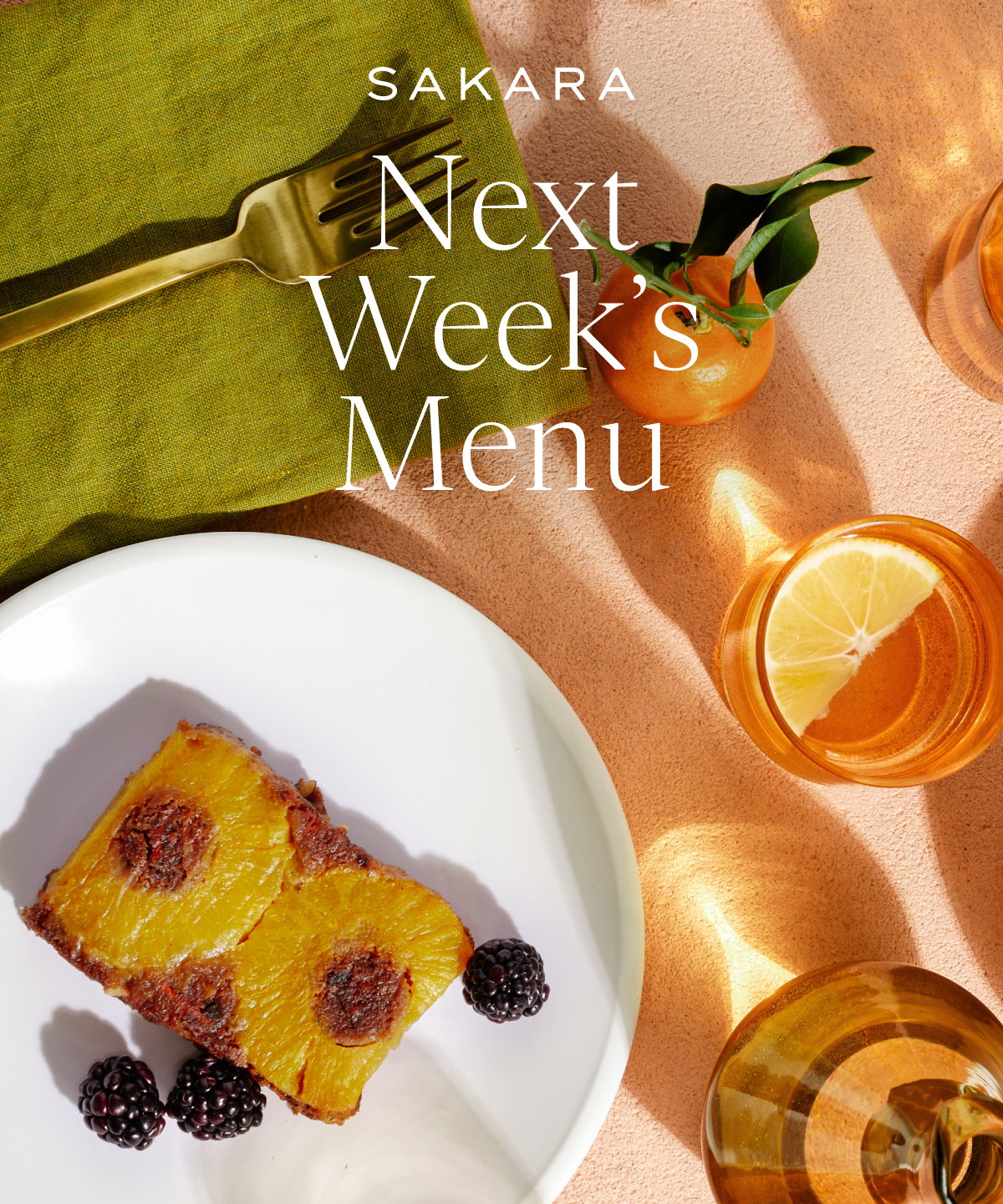 Next Week's Menu