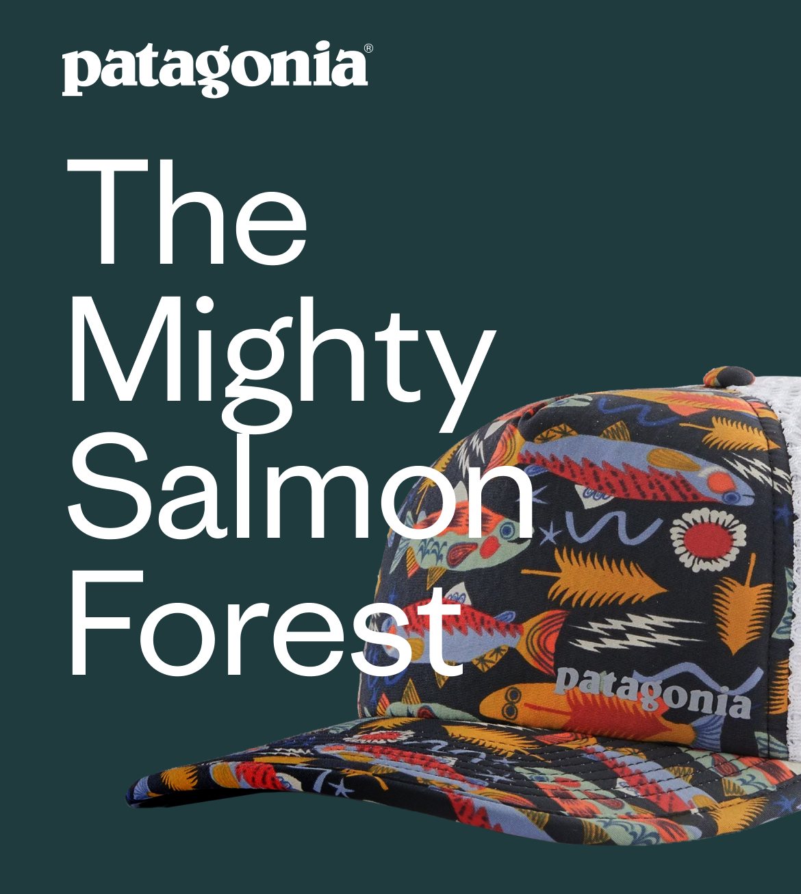 Patagonia. The Mighty Salmon Forest.
