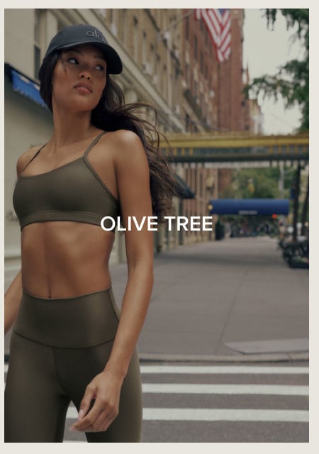 OLIVE TREE