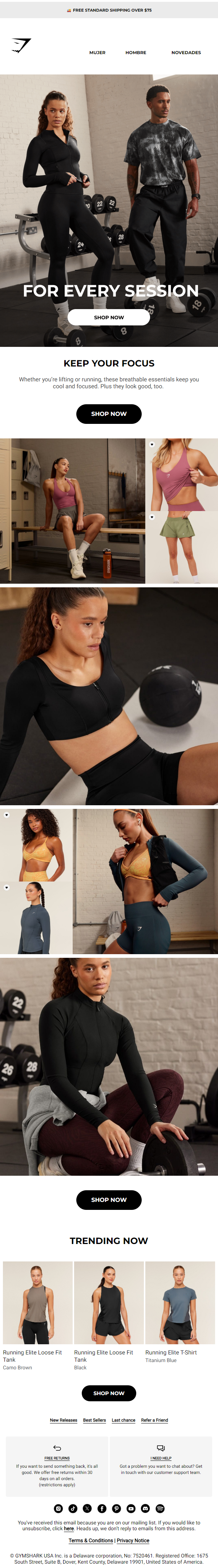 Newsletter preview: Your new essentials