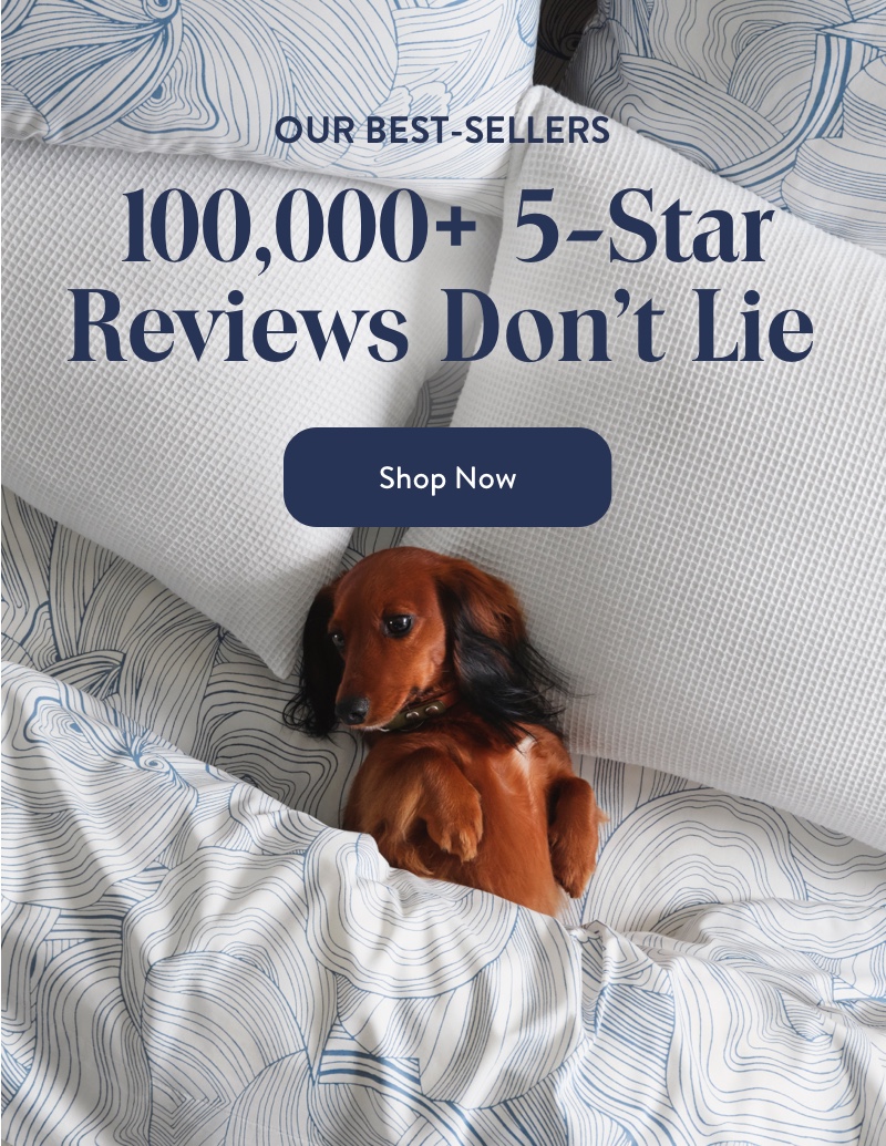 100k 5* reviews don't lie