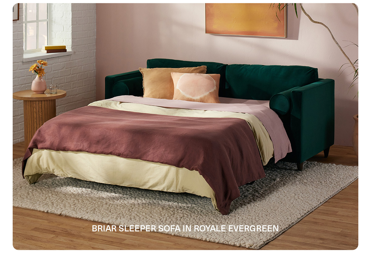 BRIAR SLEEPER SOFA IN ROYALE EVERGREEN