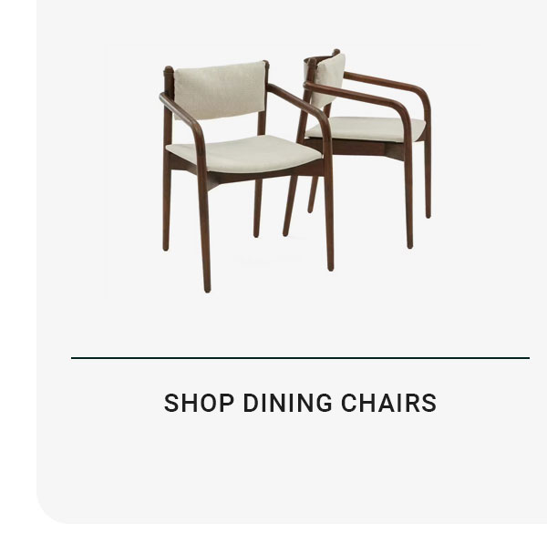SHOP DINING CHAIRS