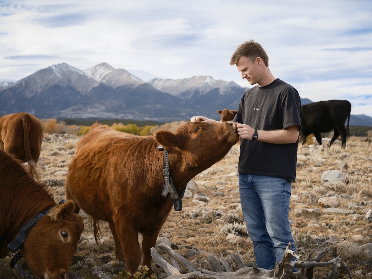 Peter Thiel's big bet on solar-powered cow collars