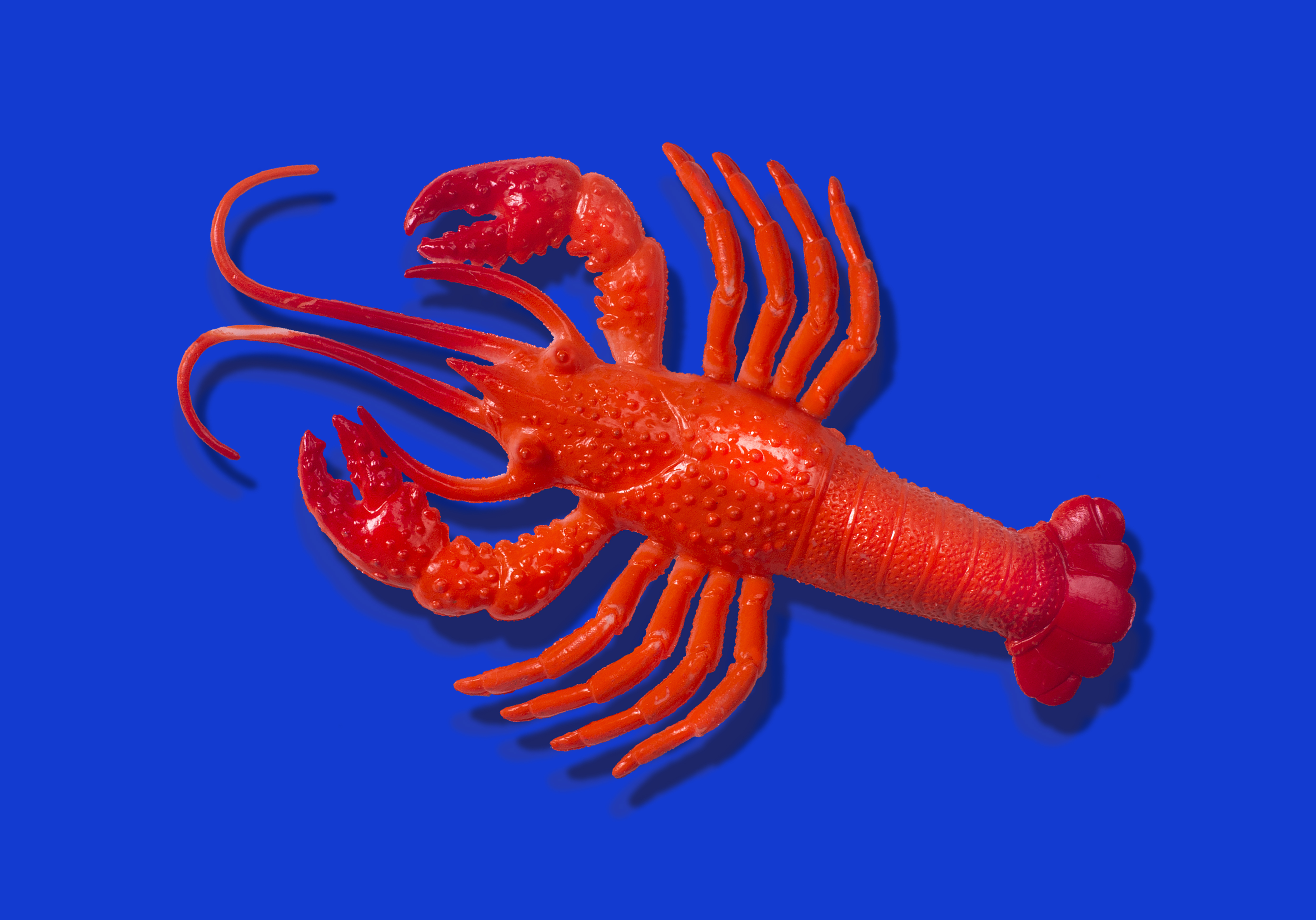 Anthropic says Claude Code subscribers will need to pay extra for OpenClaw usage