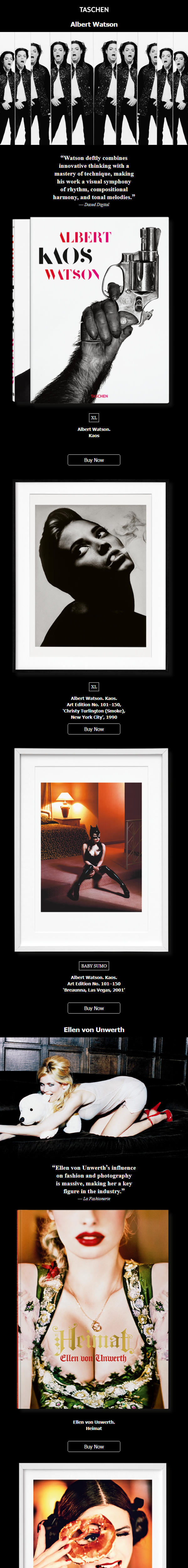 Newsletter preview: Visionaries in Photography #2