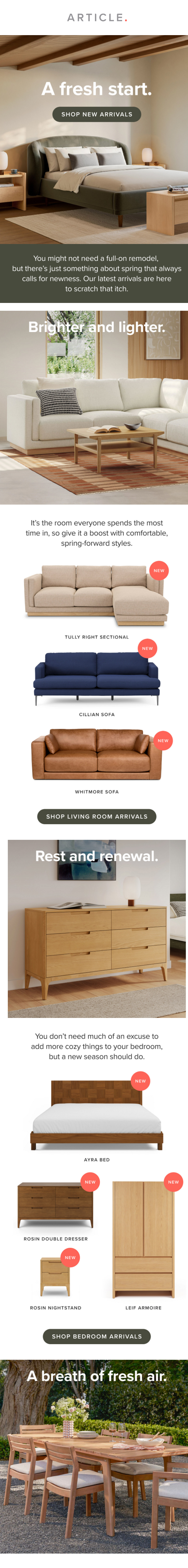 Newsletter preview: New spring arrivals