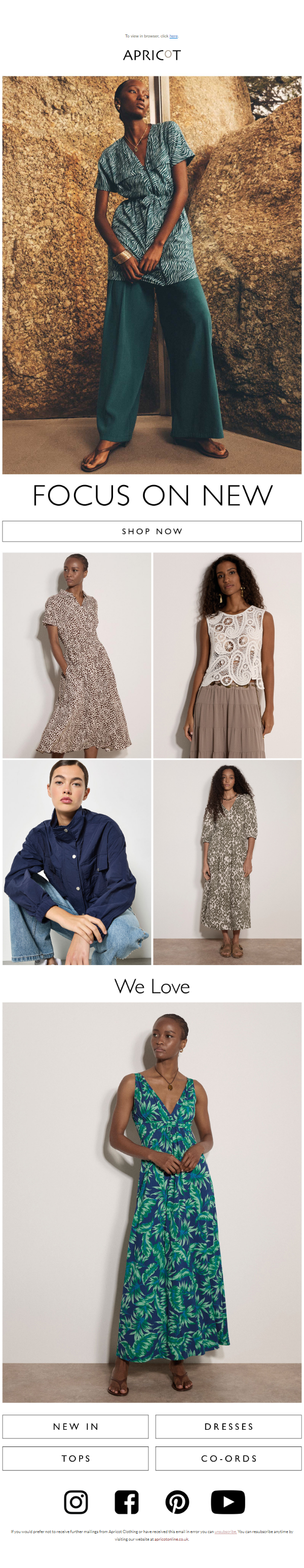 Newsletter preview: Say Hello To New