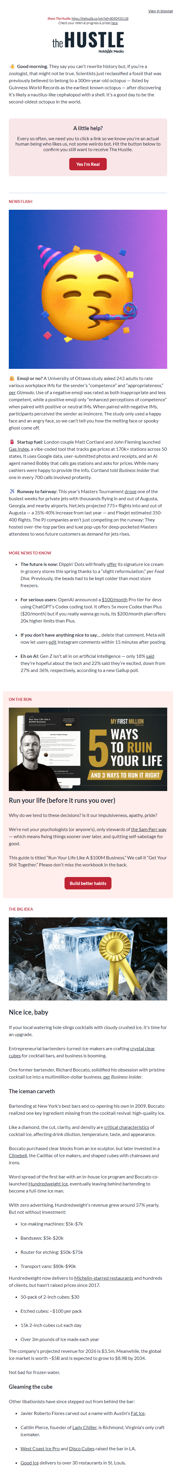 Newsletter preview: 🧊  A really cool business idea 