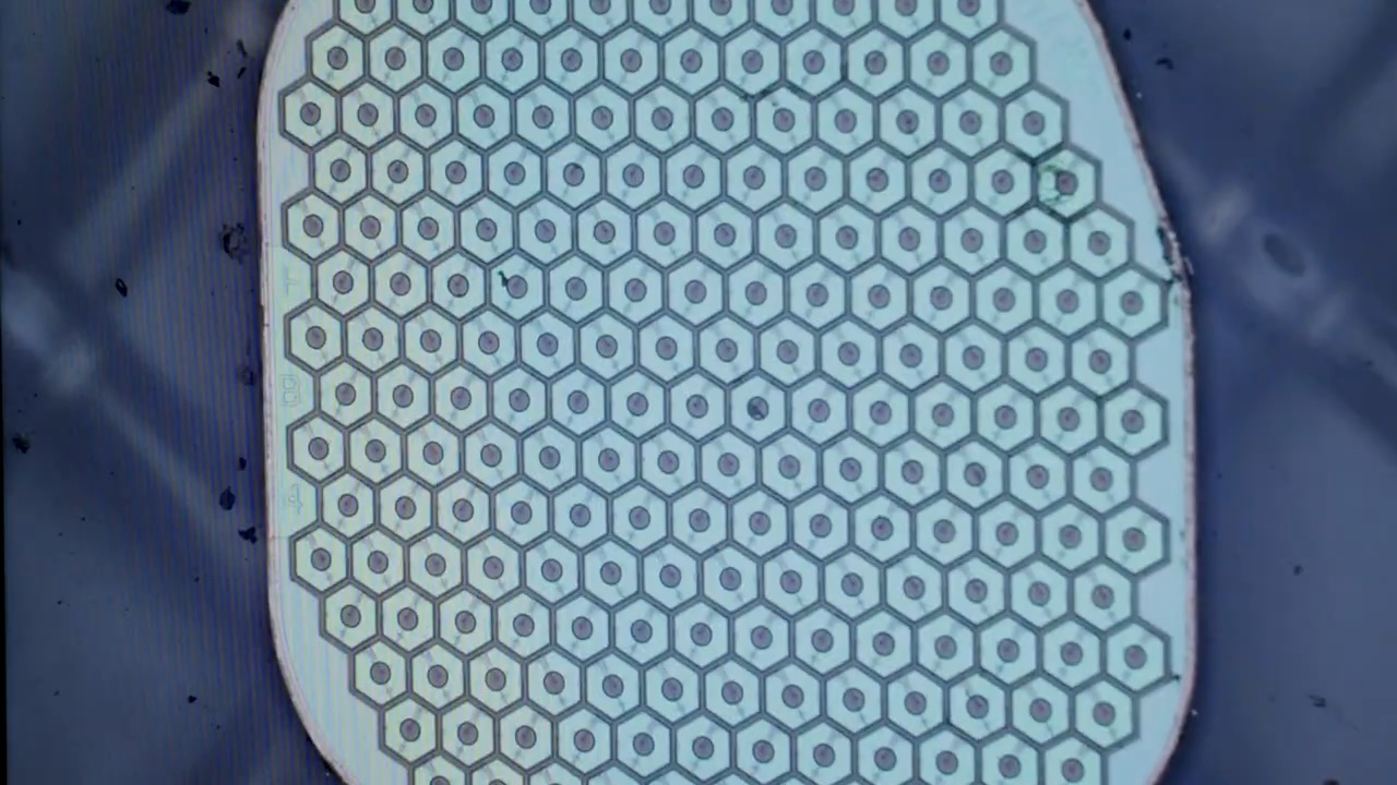 Max Hodak’s Science Corp. is preparing to place its first sensor in a human brain