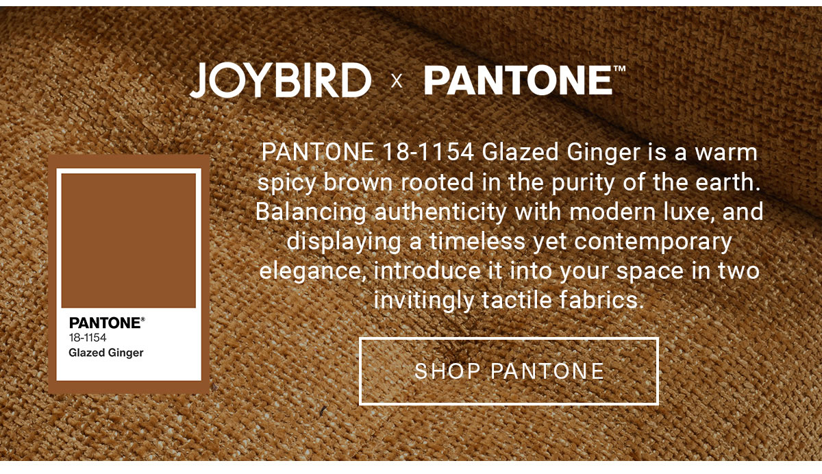 JOYBIRD × PANTONE™ PANTONE 18-1154 Glazed Ginger is a warm spicy brown rooted in the purity of the earth. Balancing authenticity with modern luxe, and displaying a timeless yet contemporary elegance, introduce it into your space in two invitingly tactile fabrics. PANTONE 18-1154 Glazed Ginger SHOP PANTONE