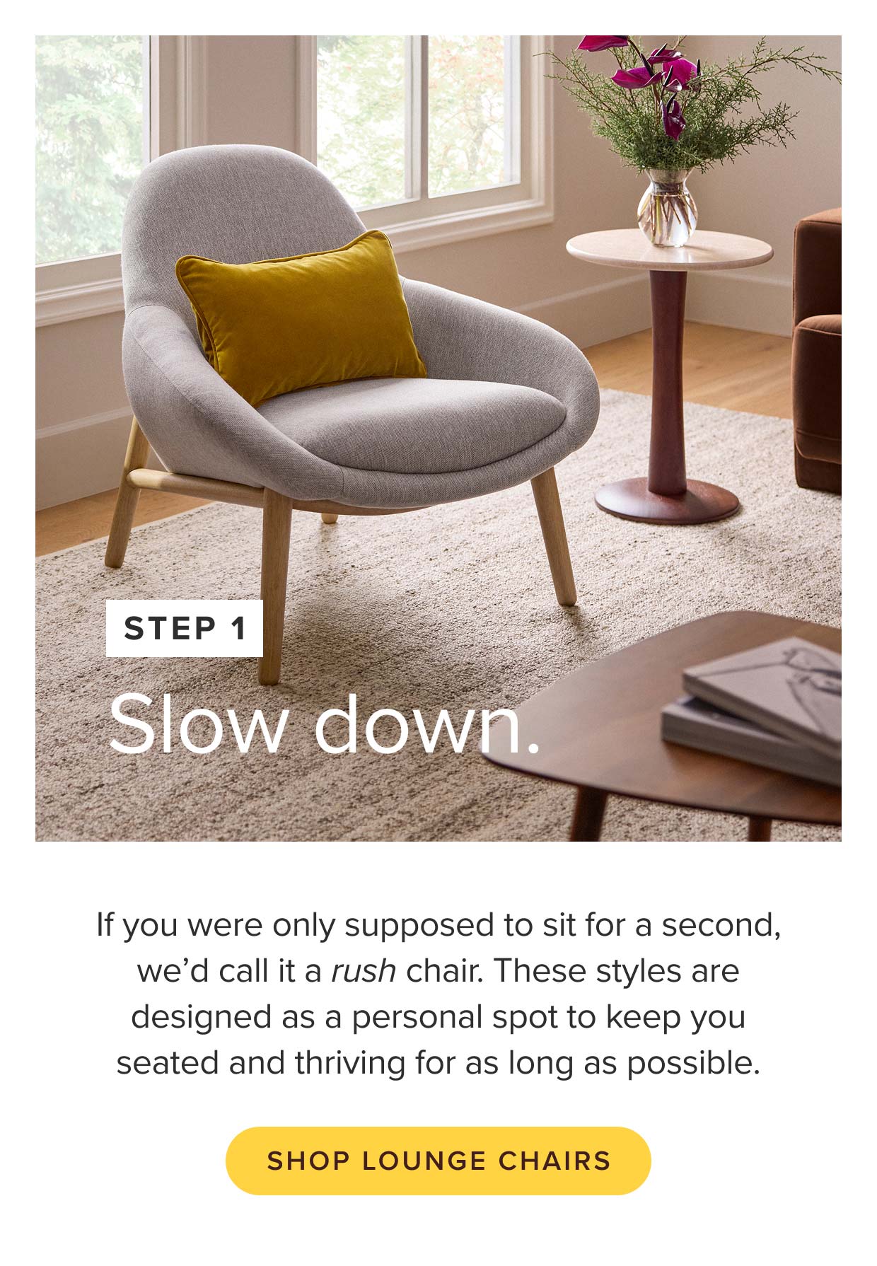 Shop lounge chairs.