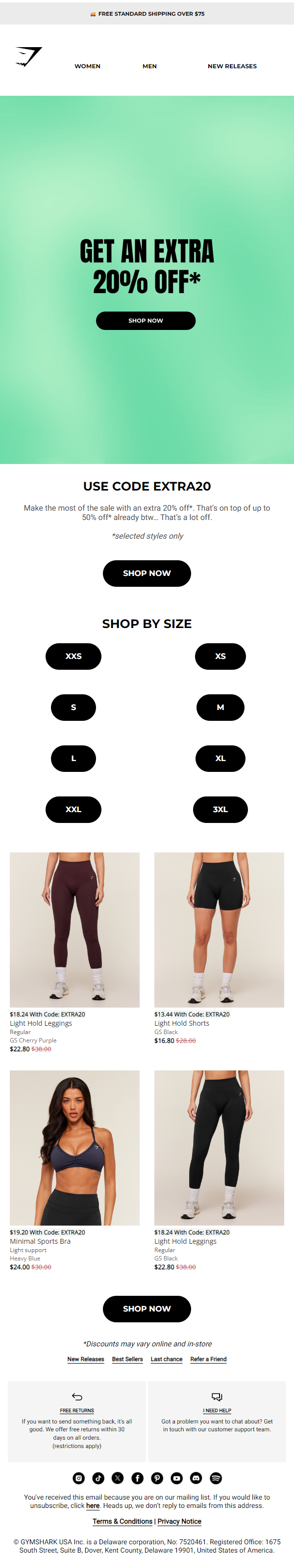 Newsletter preview: Get an extra 20% off* the sale