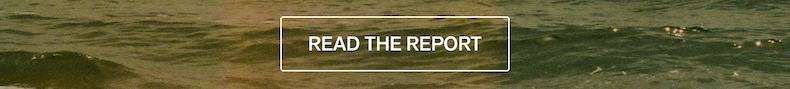 Read the Report