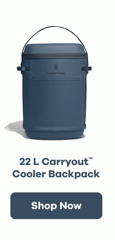 22 L Carryout™ Cooler Backpack | Shop Now