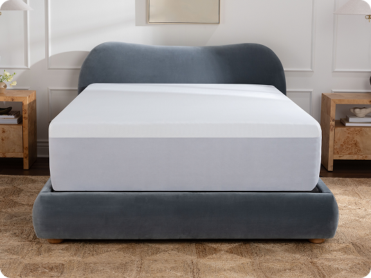 Mattress Protector