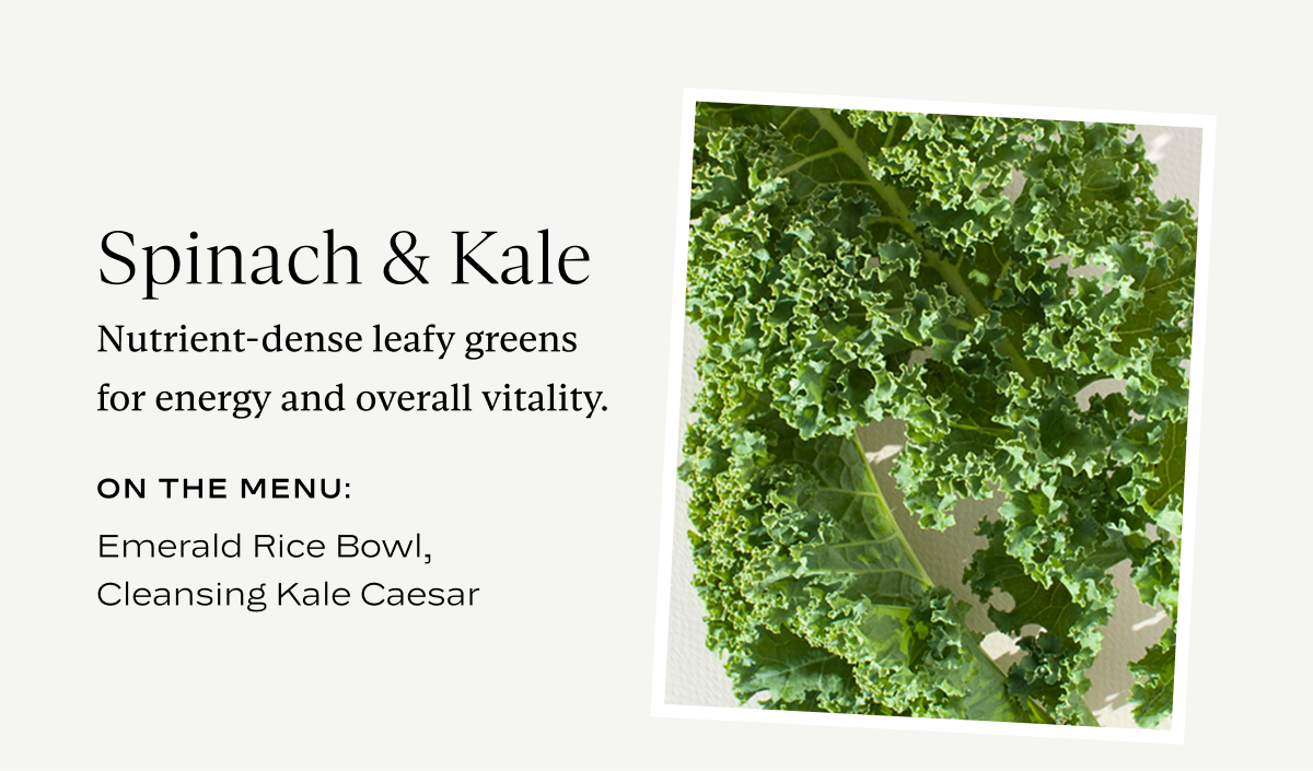 Spinach & Kale: Nutrient-dense leafy greens for energy and overall vitality.